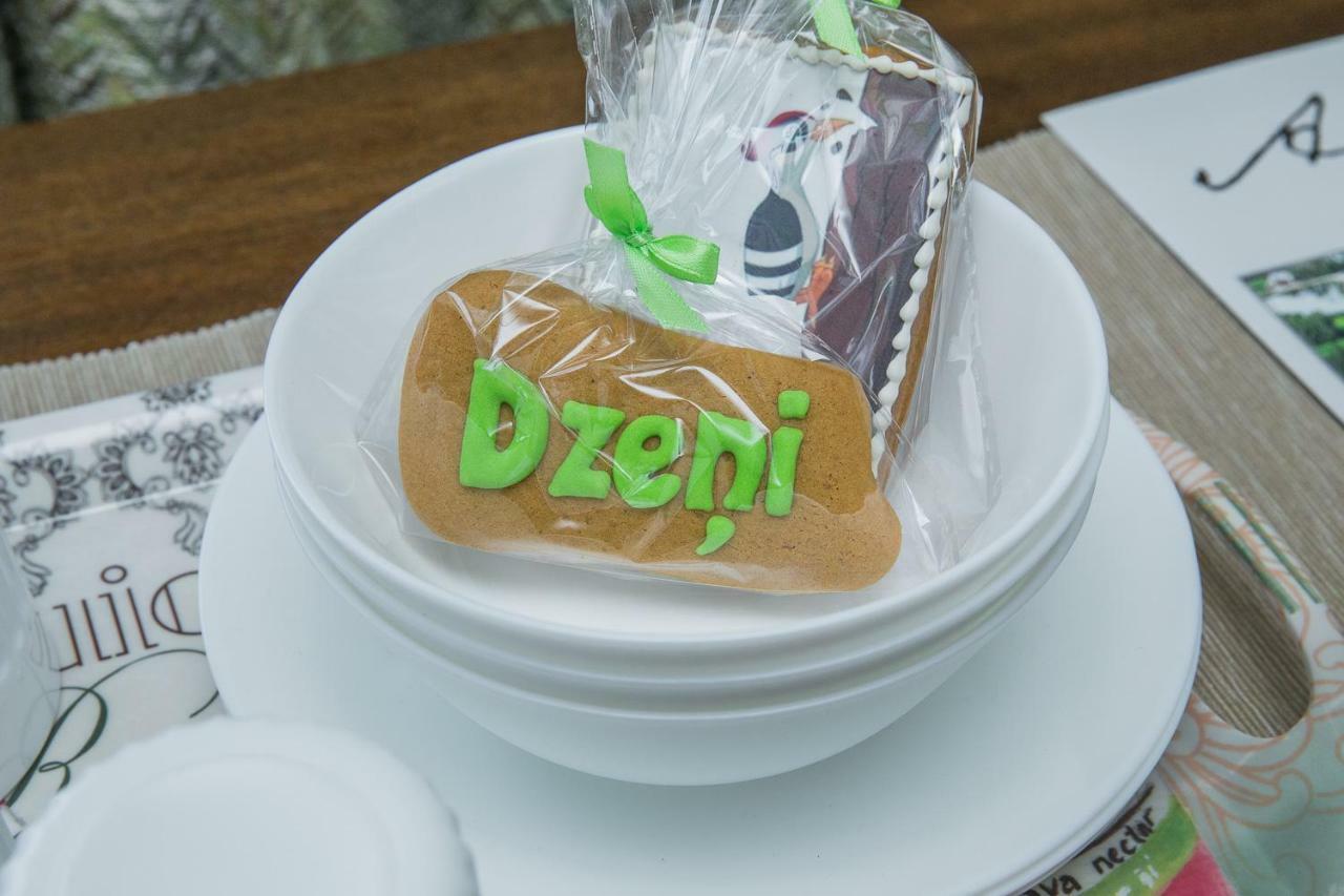 Dzeni Guest House Amatciems ภายนอก รูปภาพ
